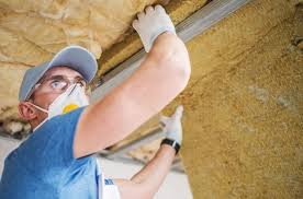 Best Eco-Friendly Insulation Solutions  in Geneva, IL